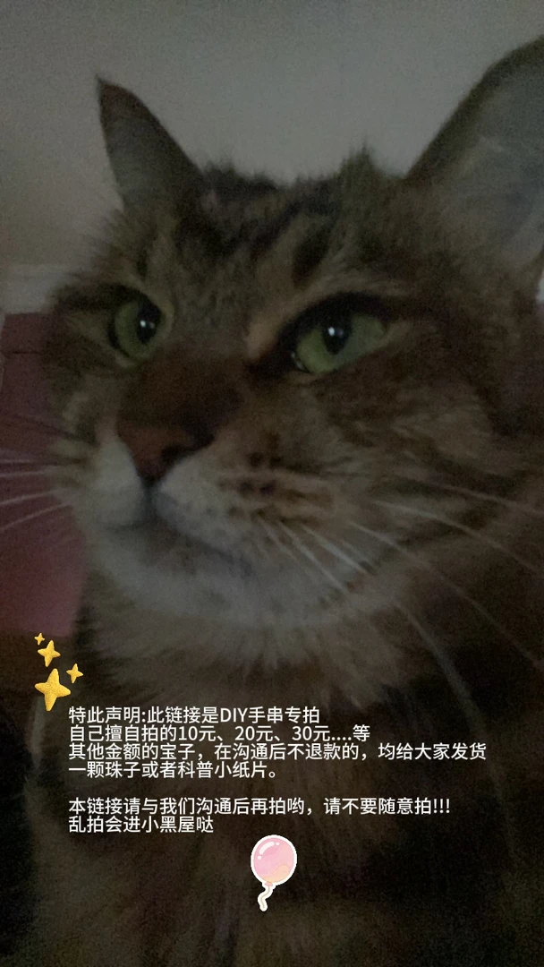 合金手链 乱拍不发货，美丽开会啦 手串专拍