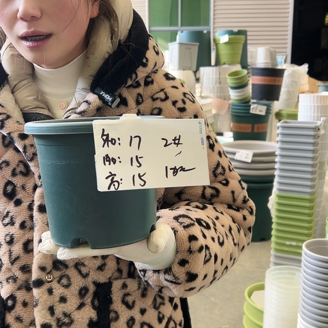 四季盆2#墨绿10个（含托）