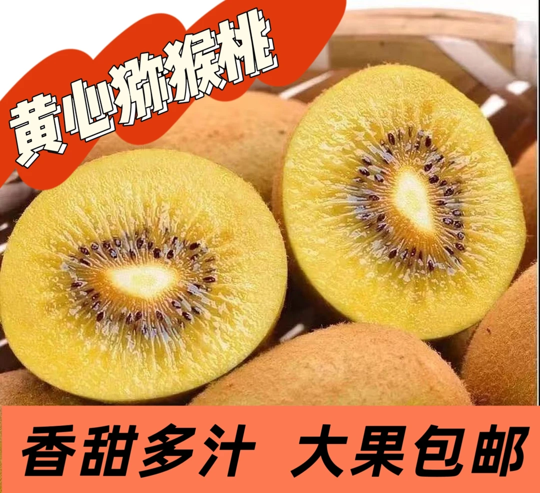 西峡县黄心猕猴桃新鲜水果香甜多汁精品大果一级精品
