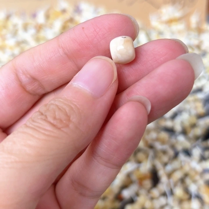 裸石蜜蜡未镶嵌8.5mm一个