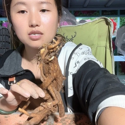 乐***呵当前无花栽培后可以开花荷包