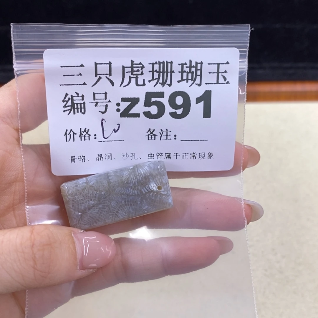 硅化珊瑚（珊瑚玉）1未镶嵌玲