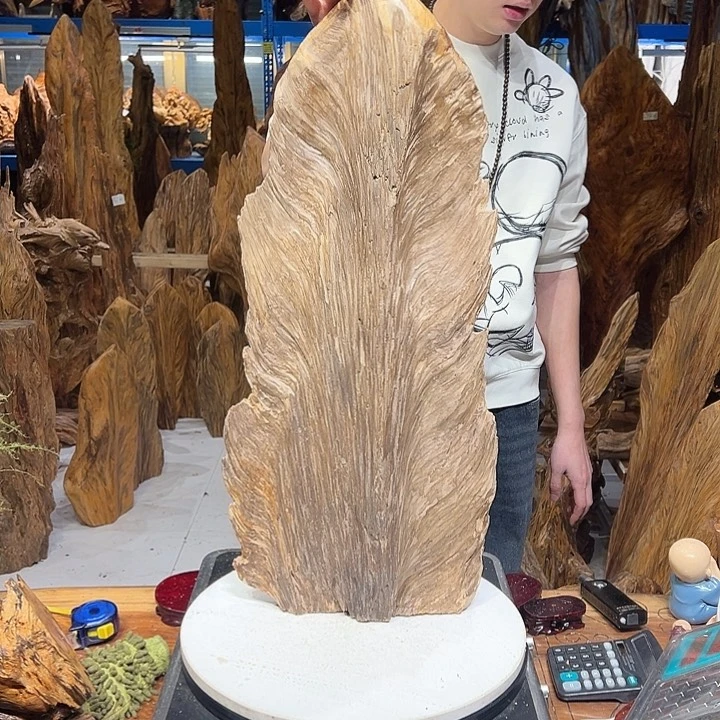 松木（琥珀木）夏*