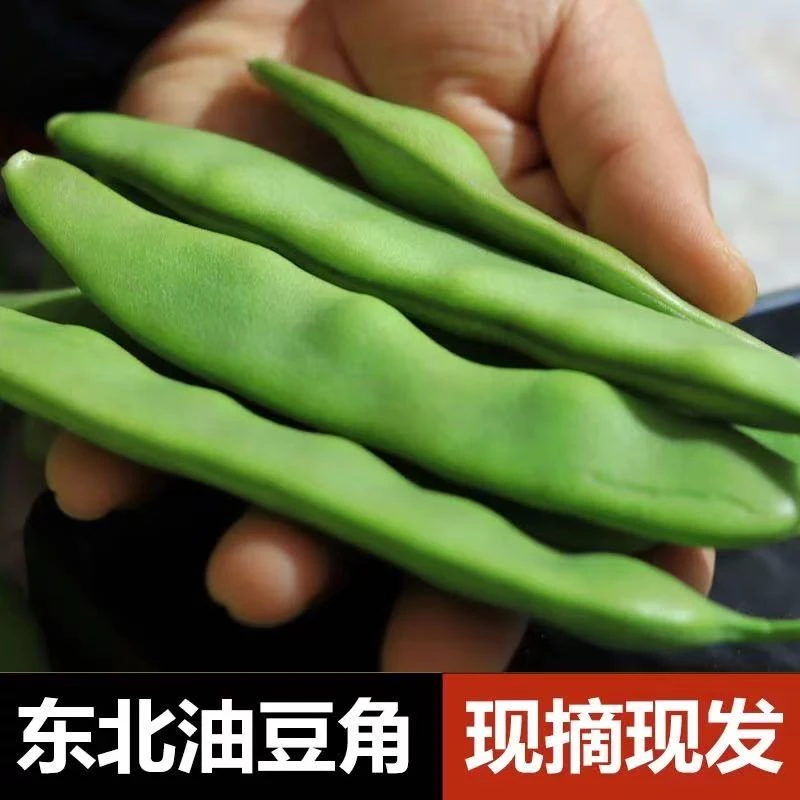 【屯鲜生】东北油豆角 3斤装