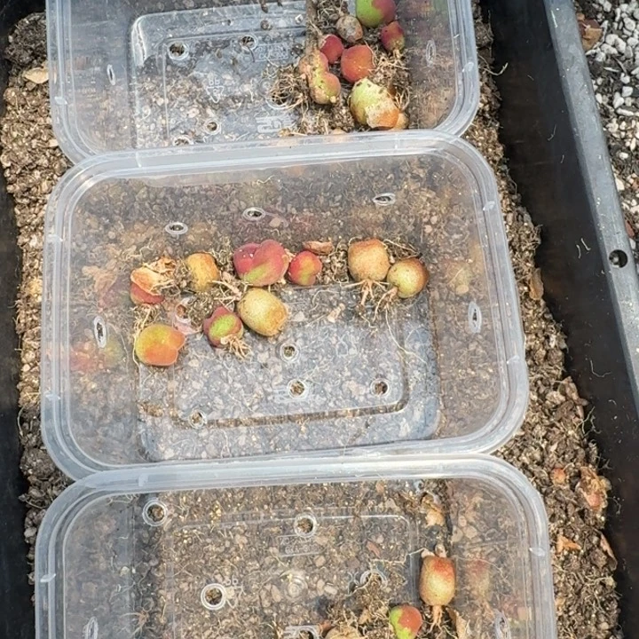 水蜜桃福利组合福利组合福利9