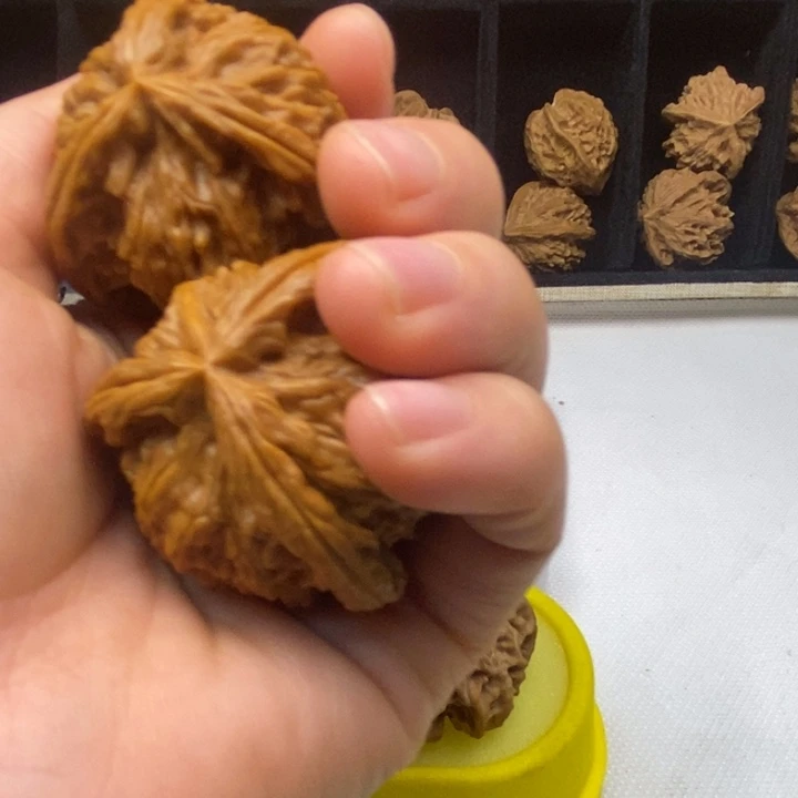 无花朵爆单爆单哈哈哈