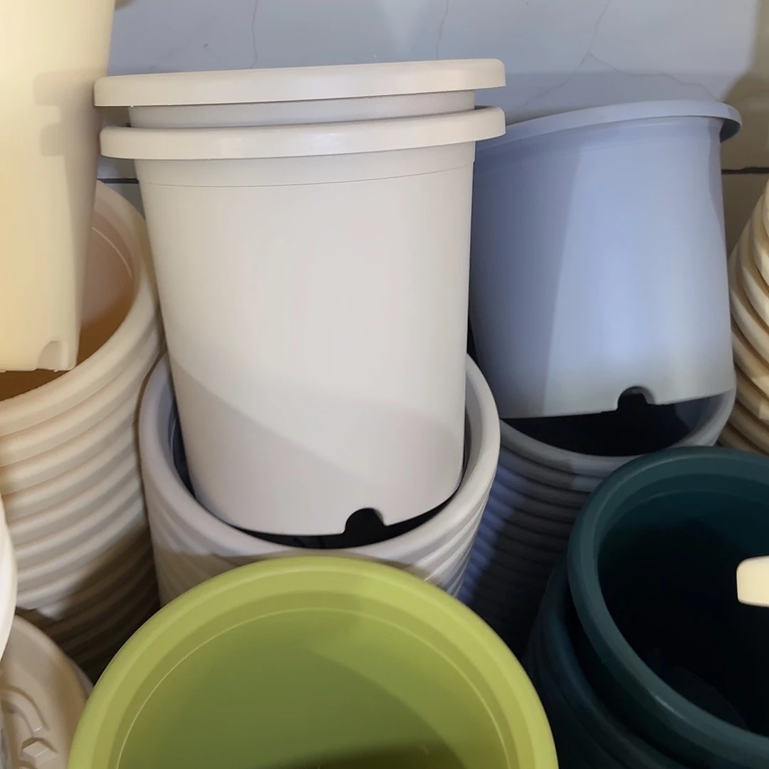 微瑕7号2个带托，灰白