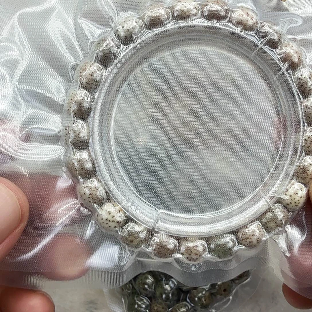 星月菩提手串16灭火灰星月菩提单圈0.9