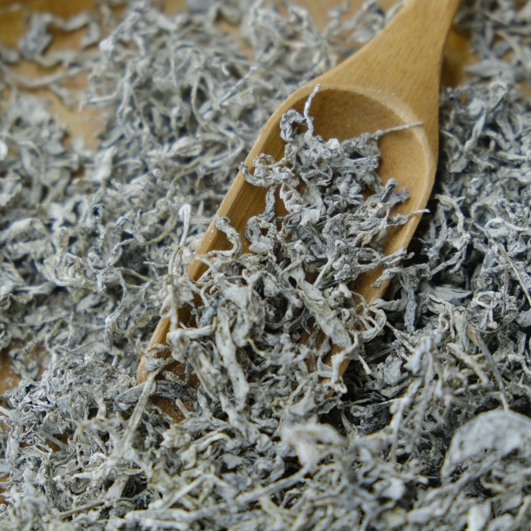 【供销现场收茶】张家界莓茶