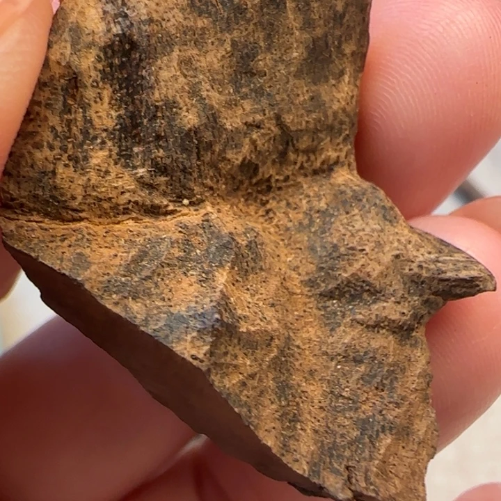 摆件沉香香港沉水包头3克