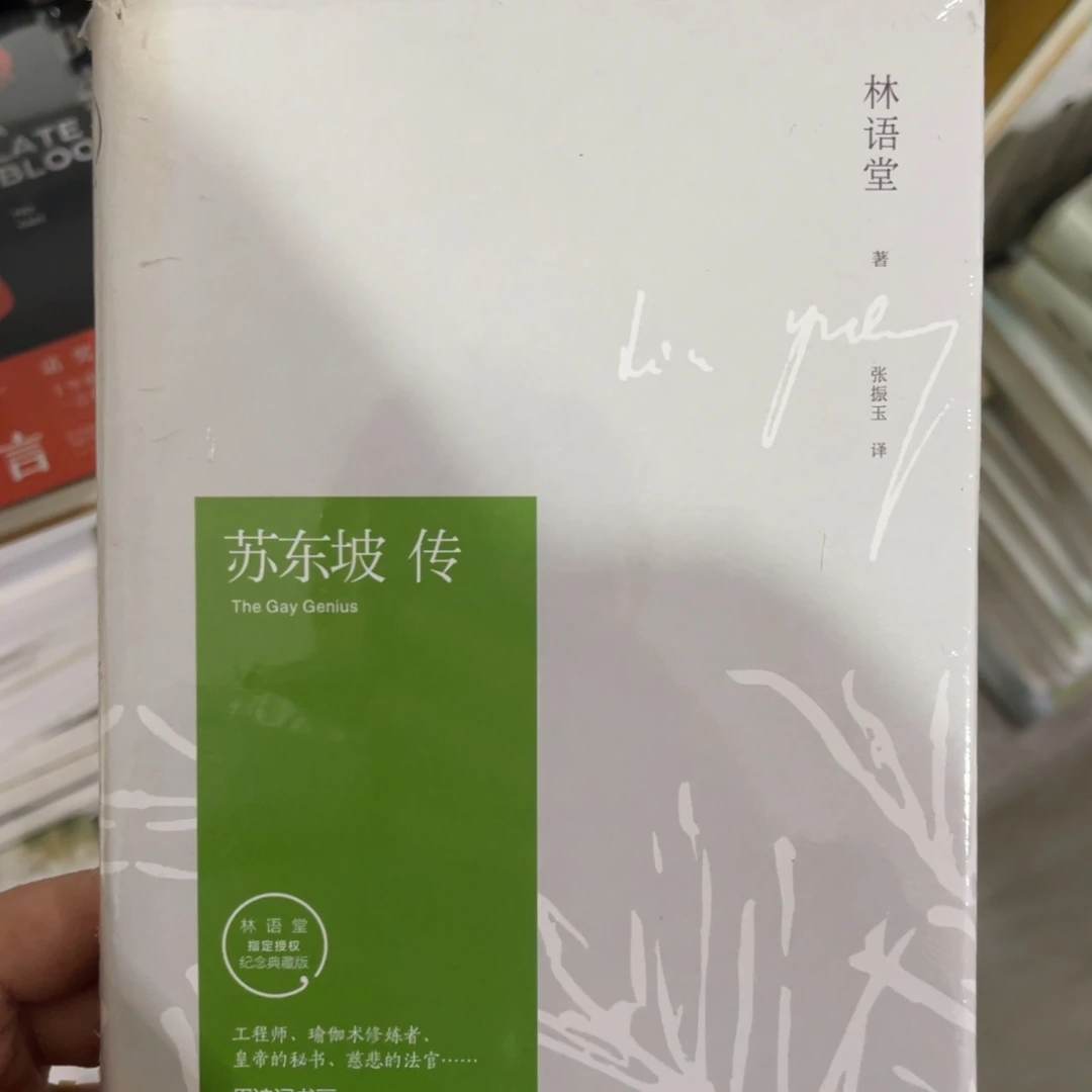 苏东坡传精装一个