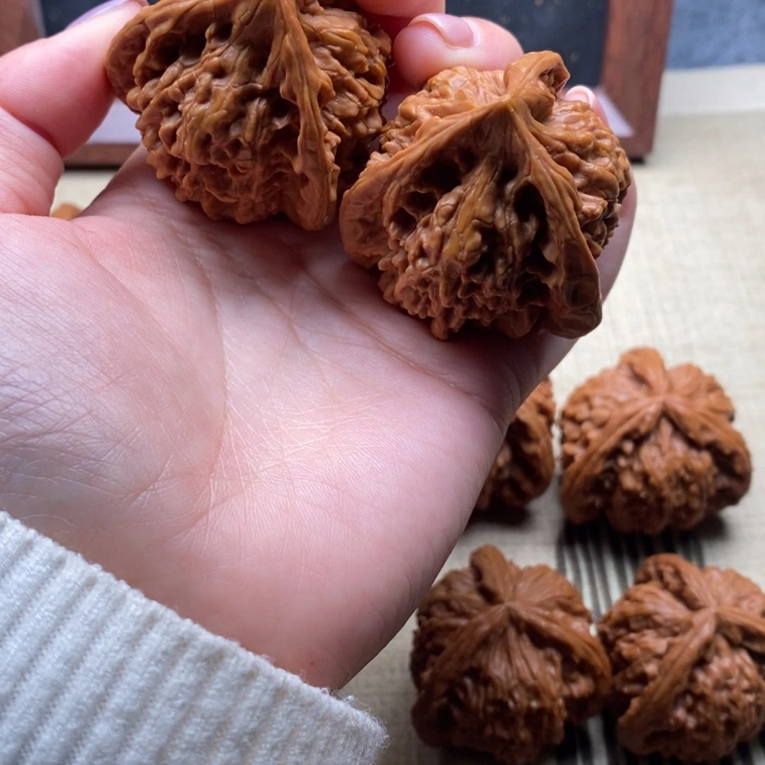 开****哥白狮子11111111