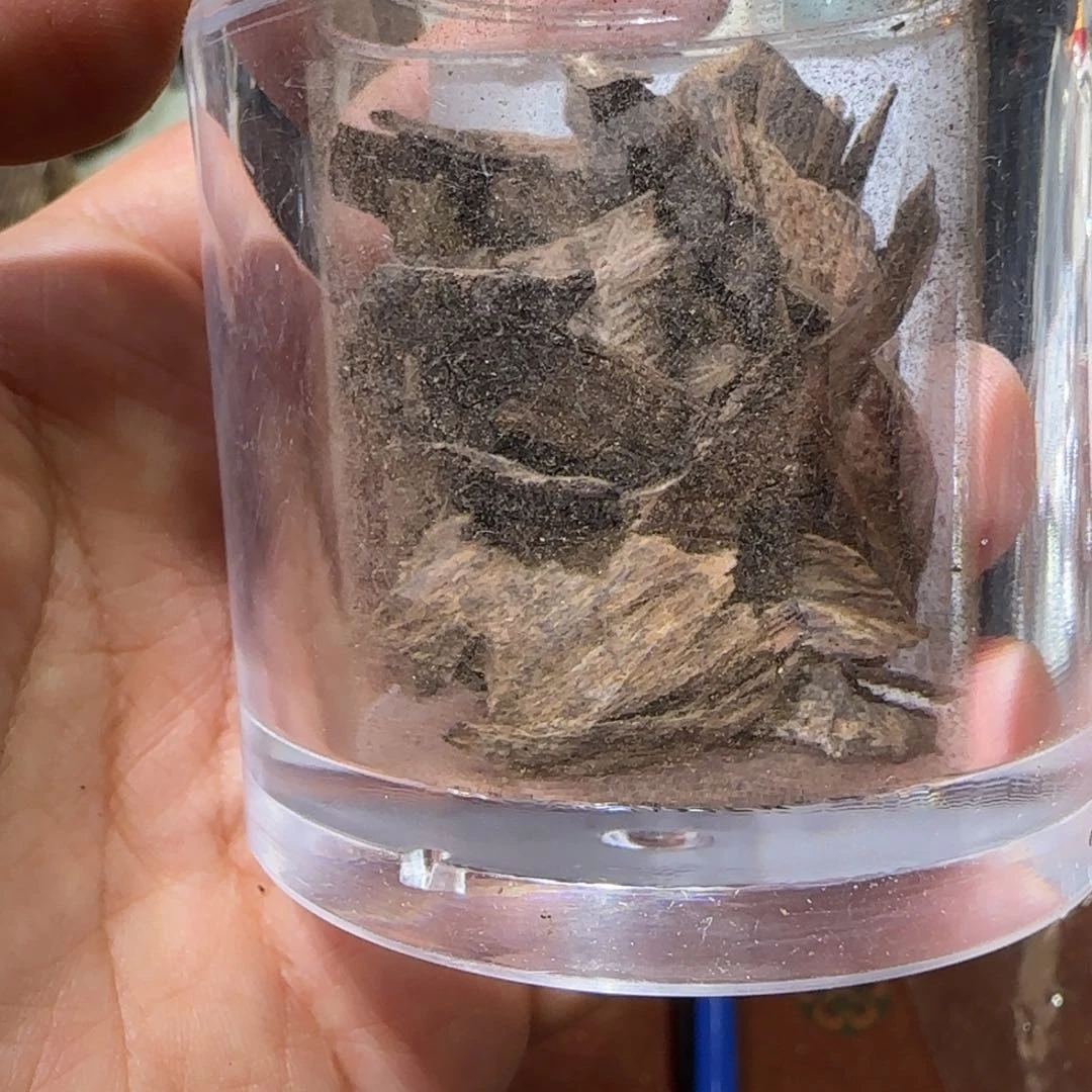 【闪购商品】沉香碎屑沉香海南黎母山沉水碎壳10克