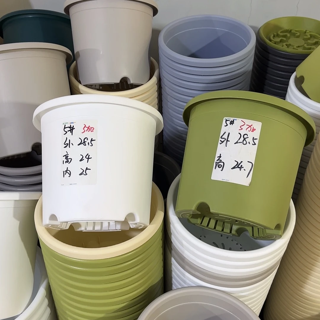 微瑕5号6个无托，果绿