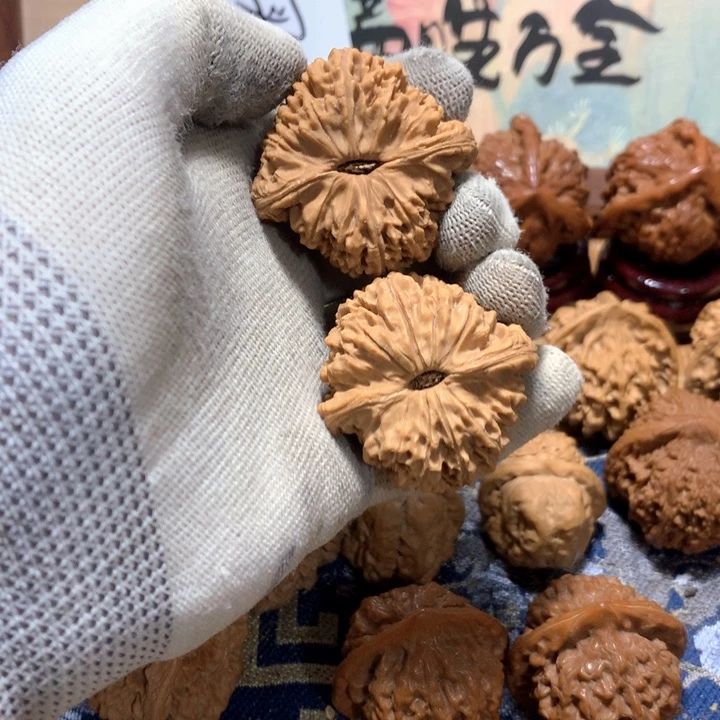 风***哈哈哈哈哈哈哈哈哈哈