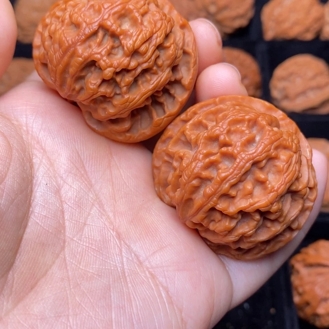 文玩核桃把件秦岭野生核桃