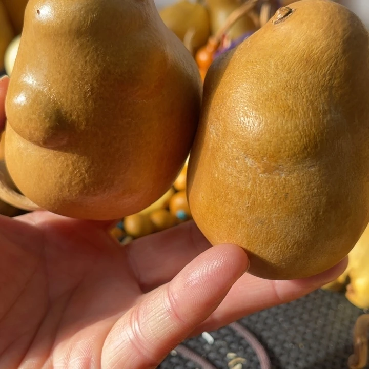 无***宝葫芦哈哈哈哈哈哈哈哈