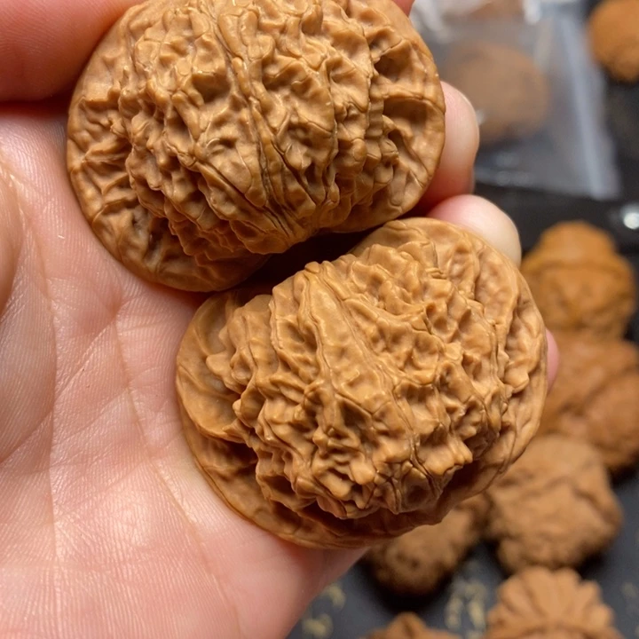 文玩核桃麻核桃盘龙