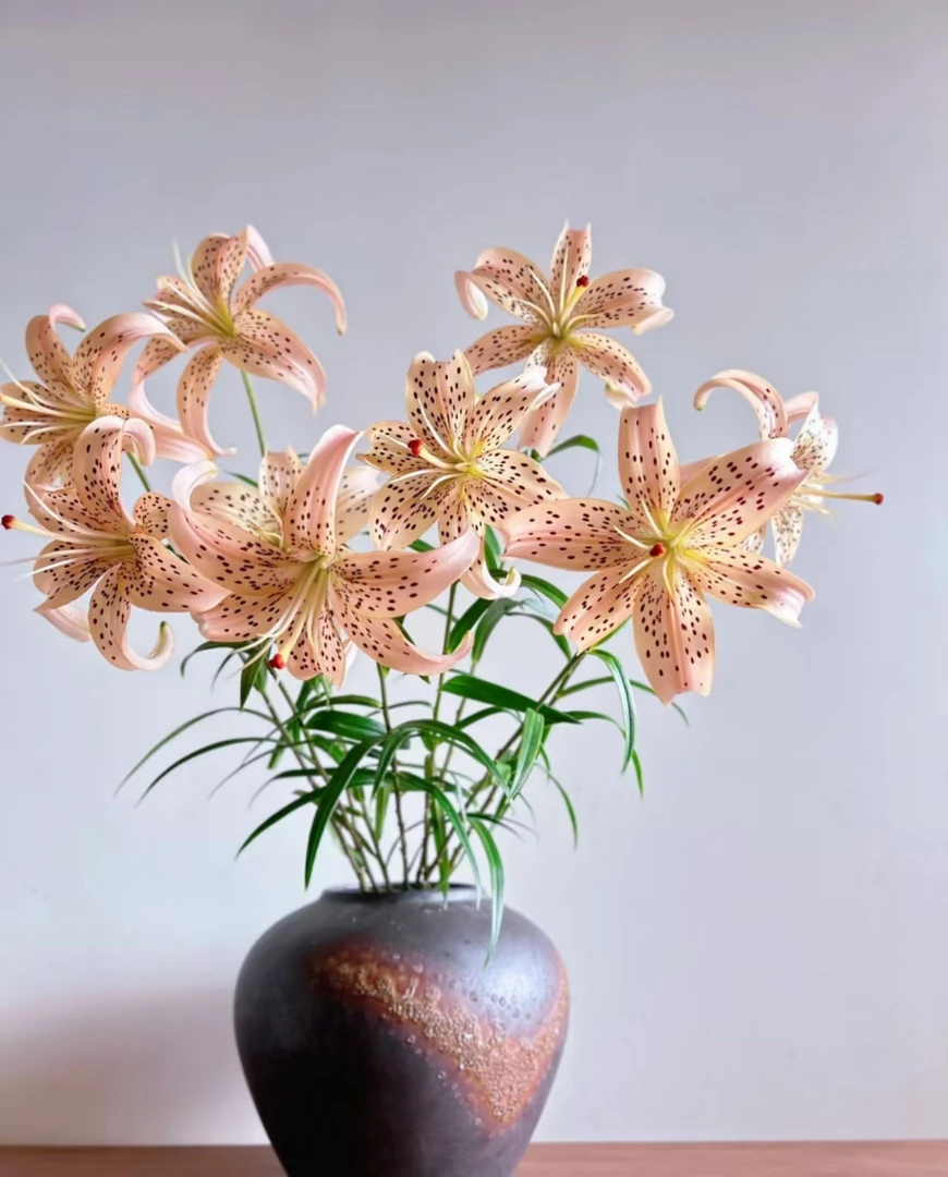 【小美同学稀有百合鲜花】云南产地直发 | 新鲜采摘