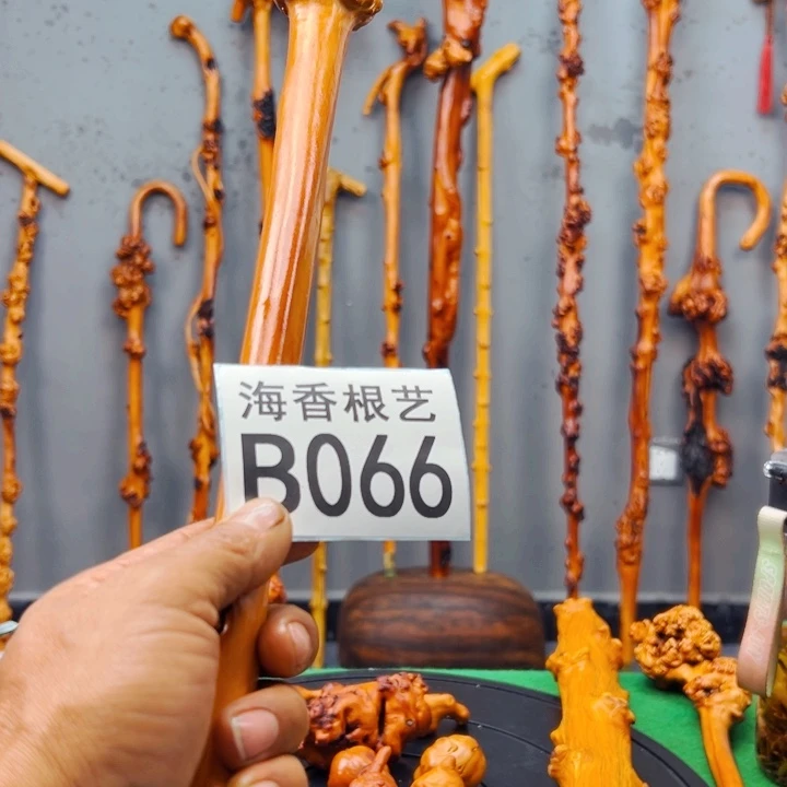 黑果木用****8一物一拍，以直播间实物截图为准