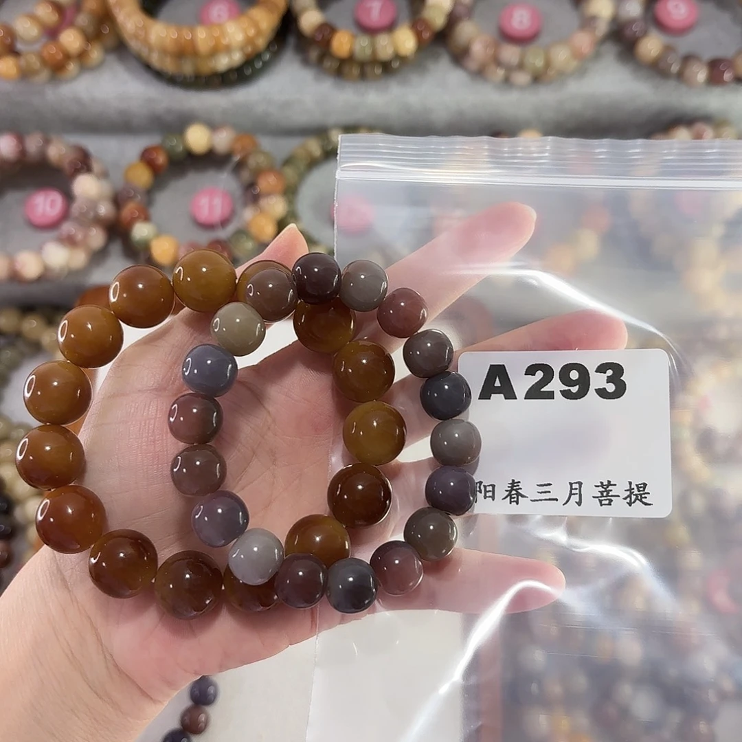 吊坠菩提根/象牙果