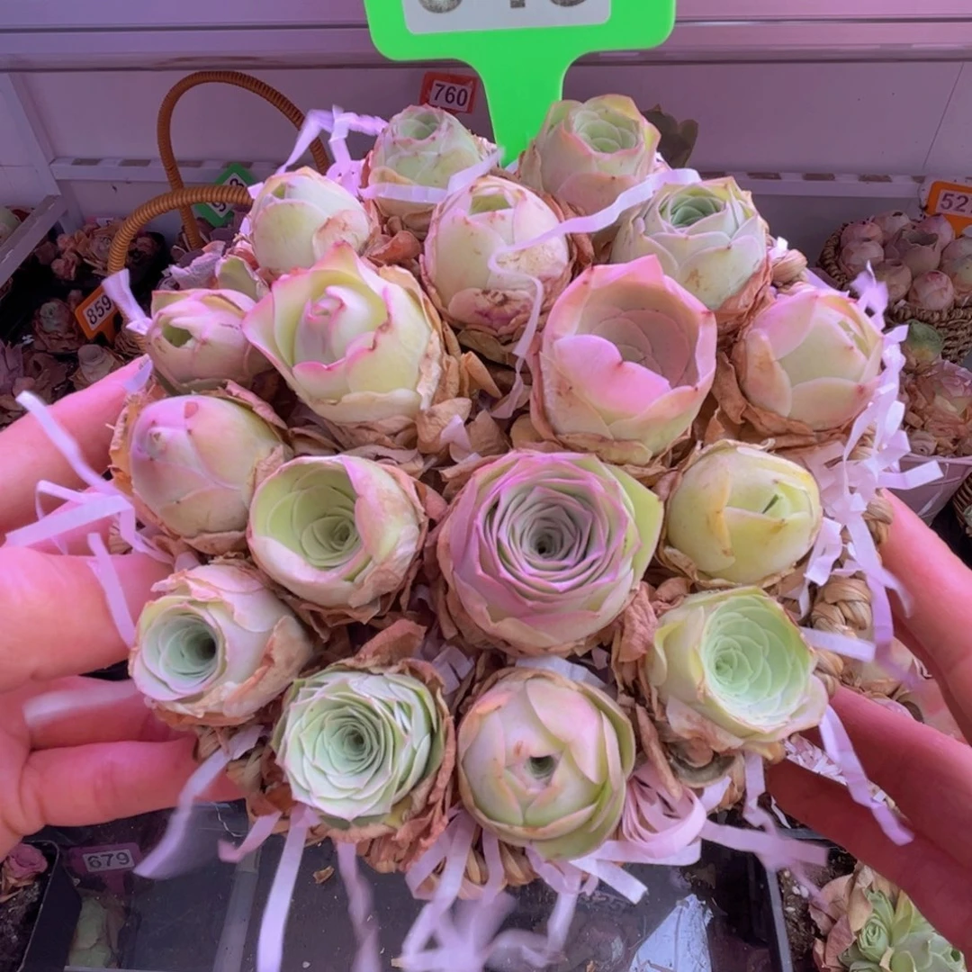 山地玫瑰花篮949