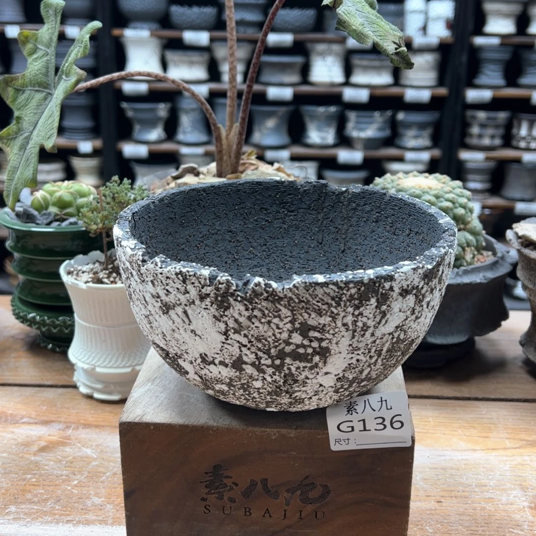 素八九陶瓷内口16高9.5