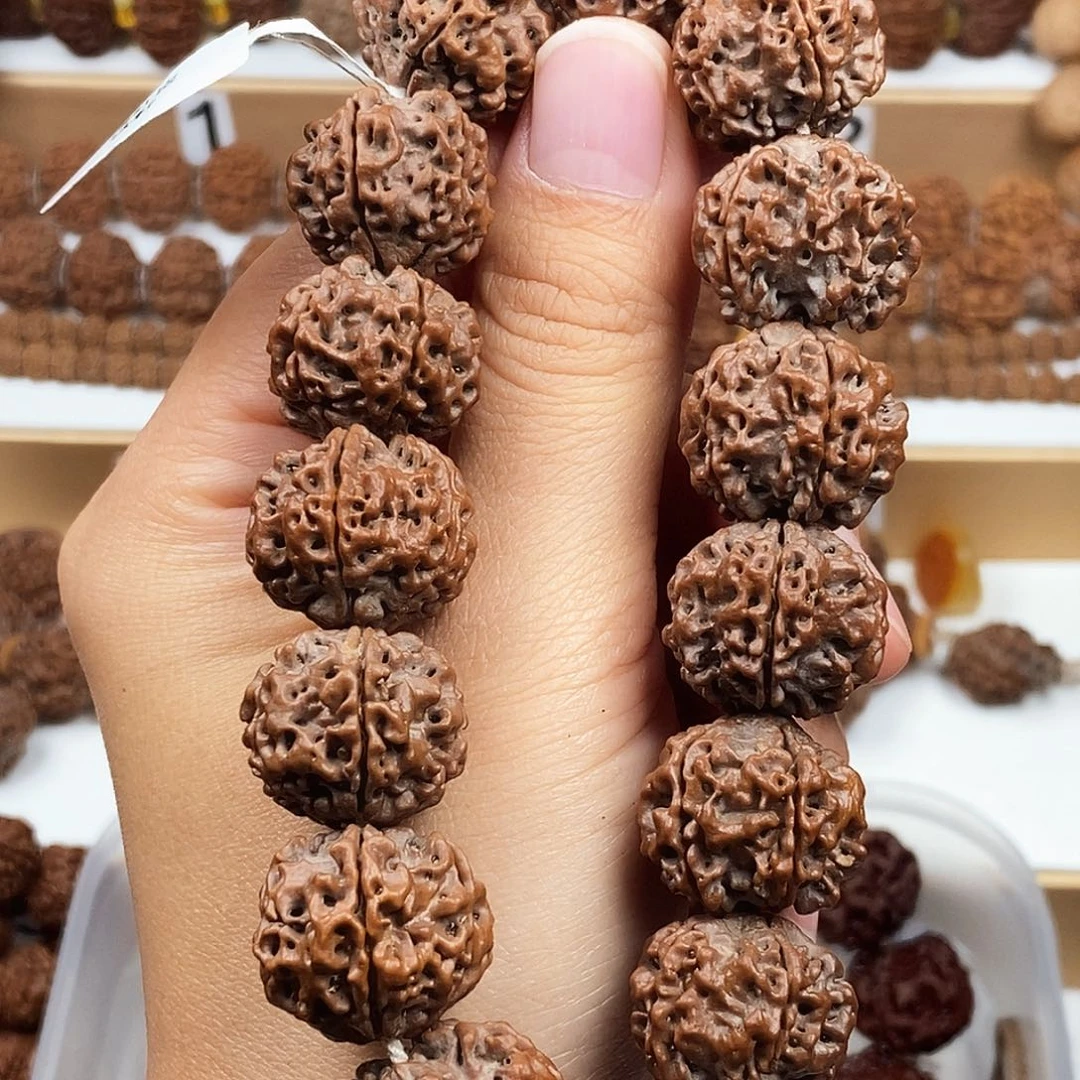 金刚菩提手串精品梅花蜂窝双龙