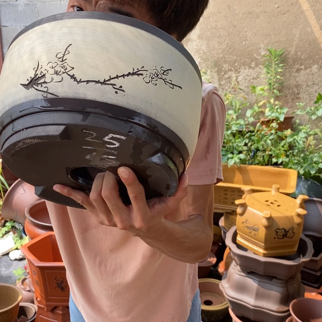 紫砂紫砂紫砂紫砂