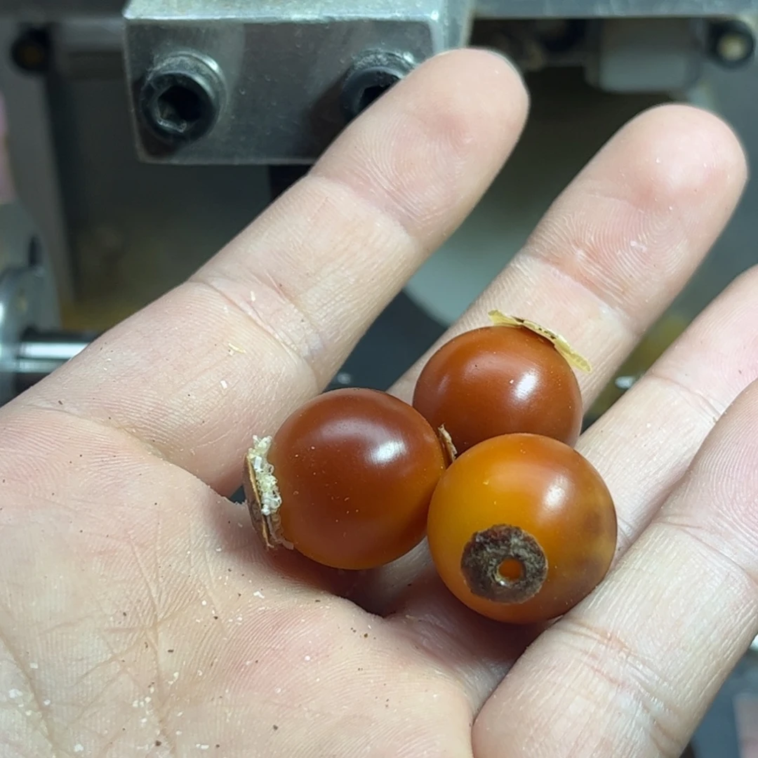 家***宝手串菩提根/象牙果