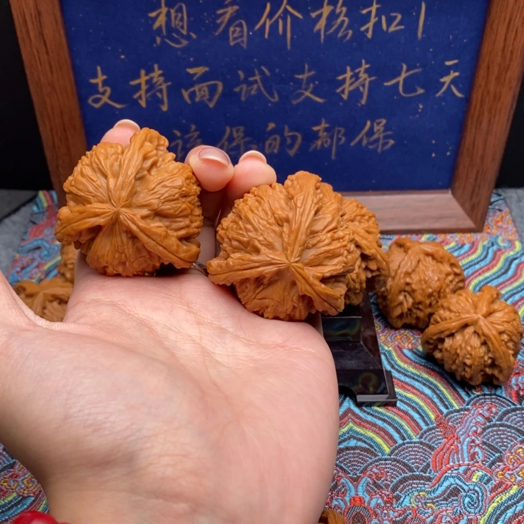 【闪购商品】黑**默白狮