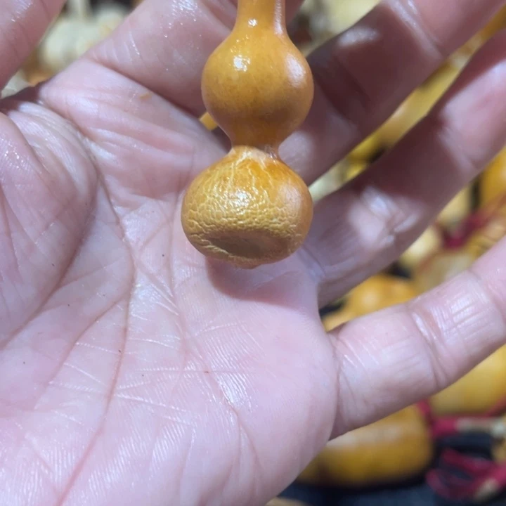 葫***竹葫芦葫哈哈哈哈哈哈哈哈