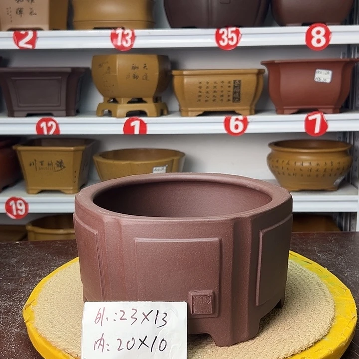 花盆紫砂你在一起