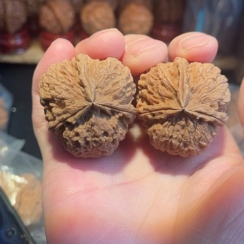 把件文玩核桃西北蜂带彩37+