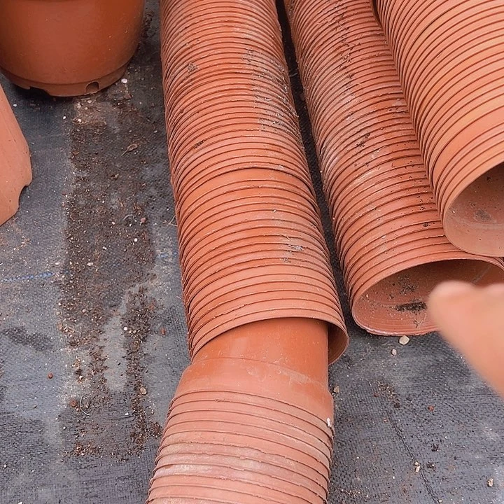 红色矮泡口径14高12发40个