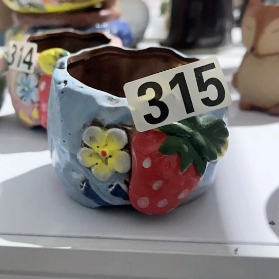 多肉植物花盆花盆