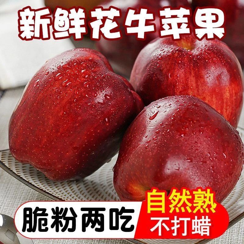 【马仑专属】甘肃天水花牛苹果脆甜多汁粉面香甜一果两吃【坏果包赔】
