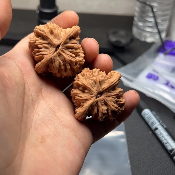 文玩核桃吊坠嗨*全112号核桃