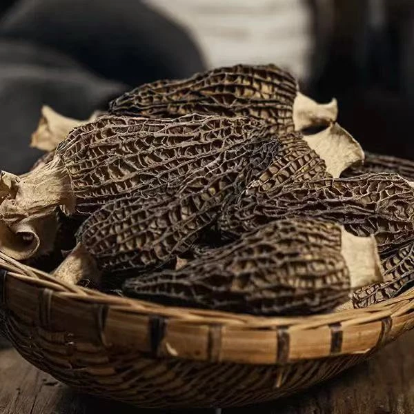 【买10个送20个】送高山头茬羊肚菌干货特产煲汤食材香味足干度好x