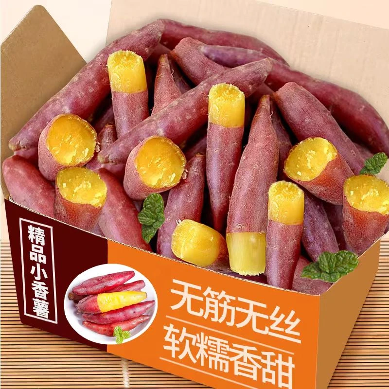 小香薯正宗天目山黄心香甜高山板栗新鲜现挖手指红薯番薯地瓜批发