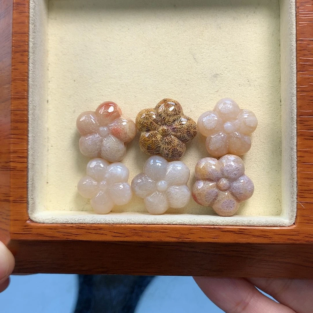 颈饰未镶嵌硅化珊瑚（珊瑚玉）45一对