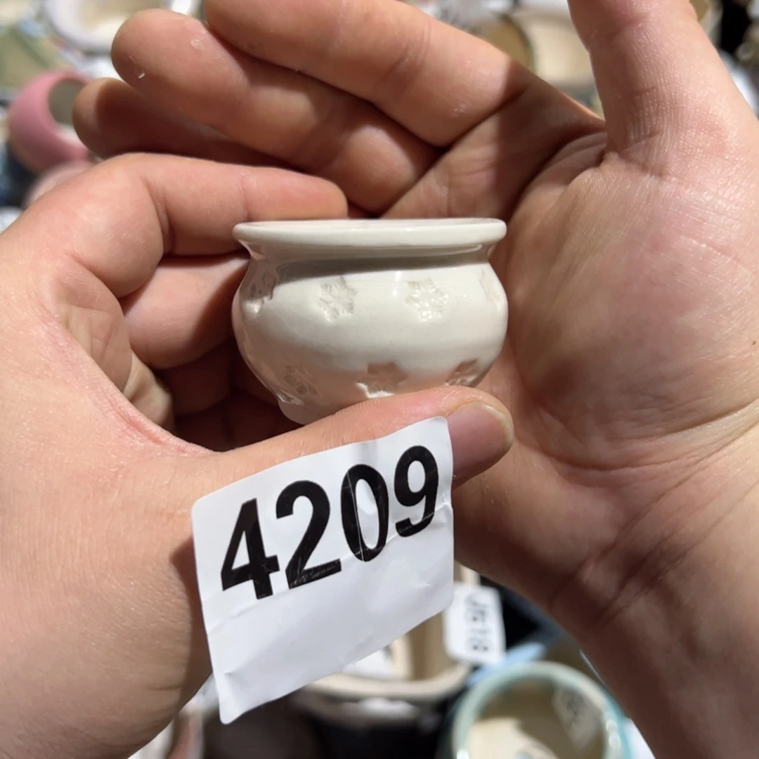 随机颜色瑕疵福利 100包邮 瑕疵不售后