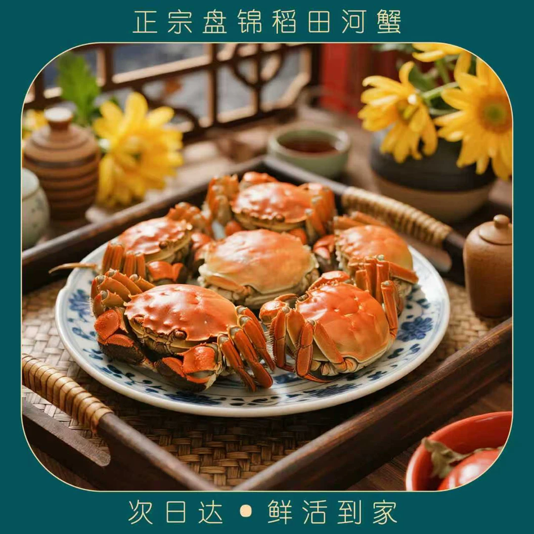 盘锦河蟹全母蟹规格 2 斤装 1-1.2 两 15 只上下
