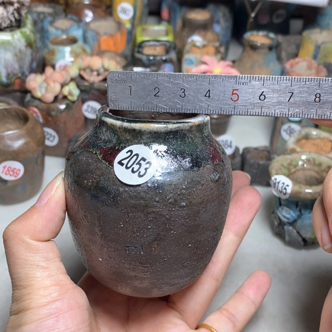 拍3送一个小礼物