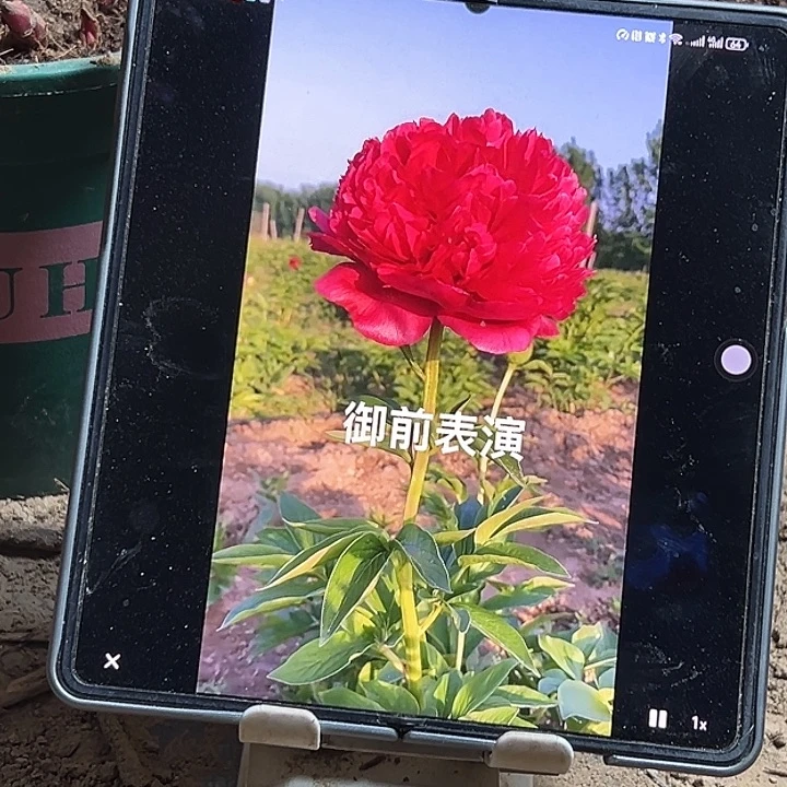 健***理完全开放御前表演