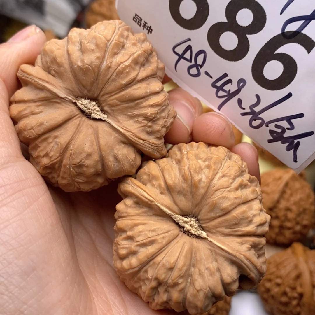 文玩核桃把件686号48全瓜