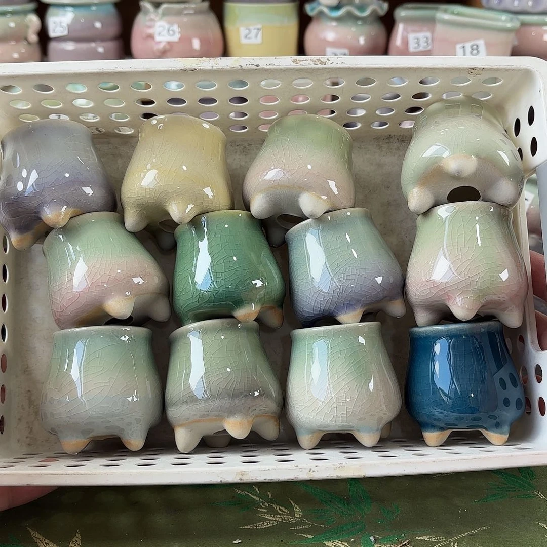 量货/口3.5高5.5深浅搭配发12个