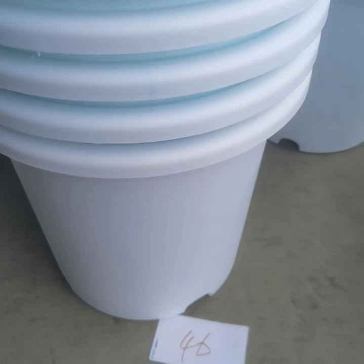 编号是46号的46号的