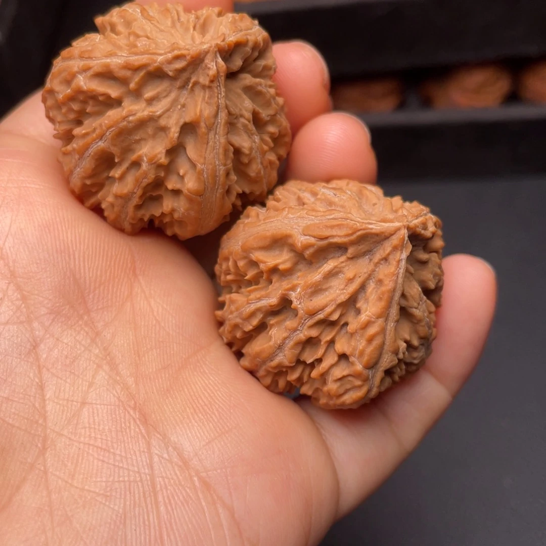 文玩核桃把件秦岭山脉核桃