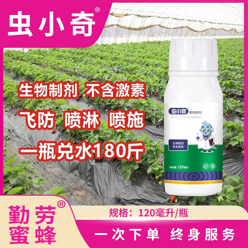 虫小奇增效助剂飞防喷淋喷施不含激素不伤花果源头厂家全国发货